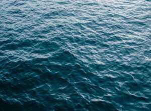 quiero agua livegore